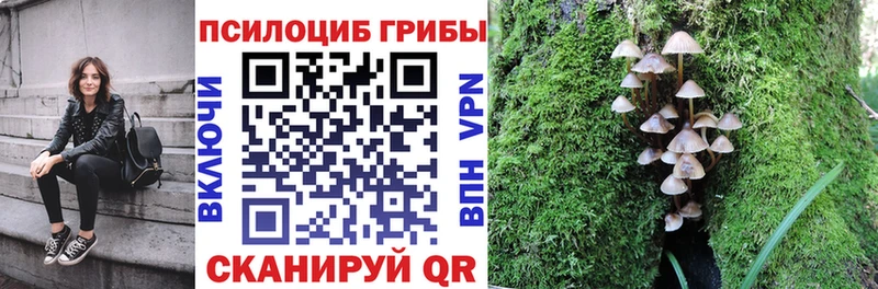где можно купить наркотик  Новохопёрск  Галлюциногенные грибы GOLDEN TEACHER 
